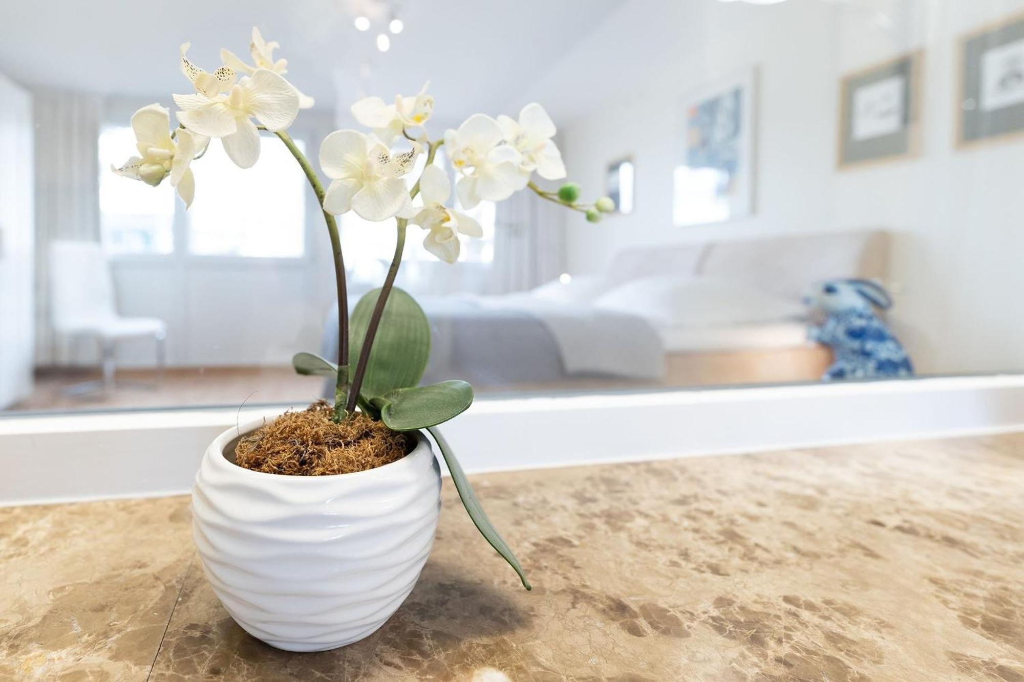 Haus Eva Mar Am Meer Appartement 1 Timmendorfer Strand Esterno foto